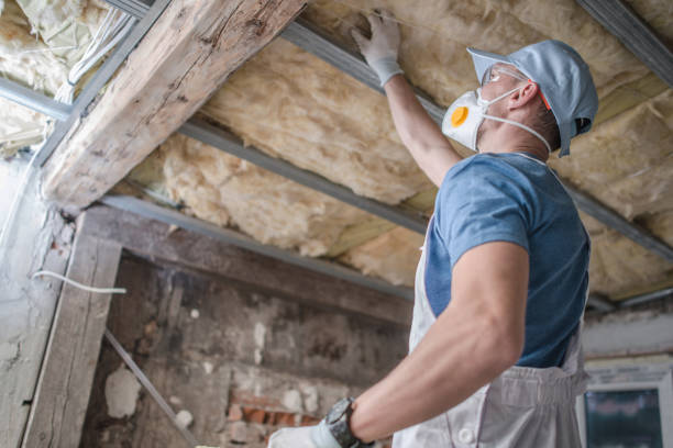 Best Insulation Repair Services  in Dover, NH